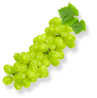 fresh-green-grapes